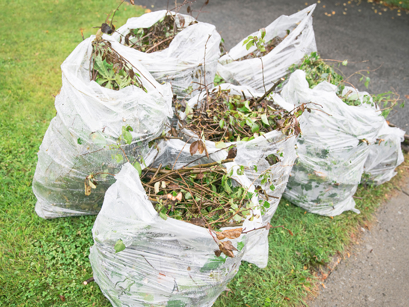 Home Solid_Organic Compost_Content 5