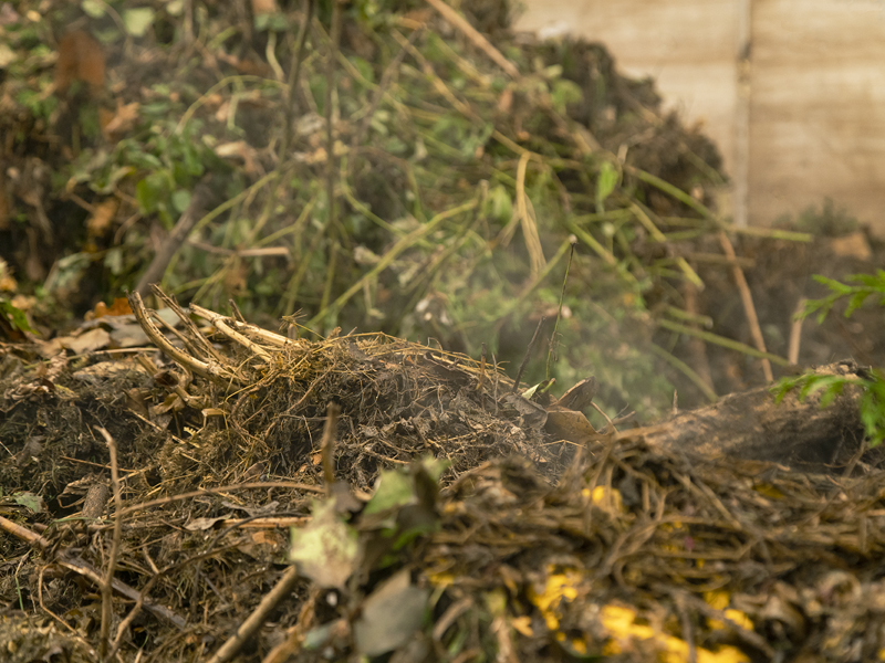 Home Solid_Organic Compost_Content 6